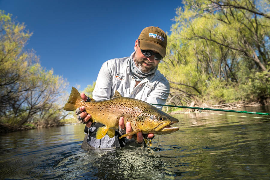 Argentina fly fishing brown trout