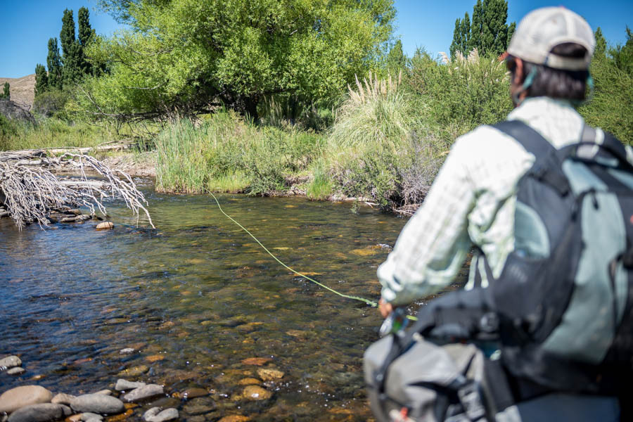 Fly Fishing in Argentina small streams