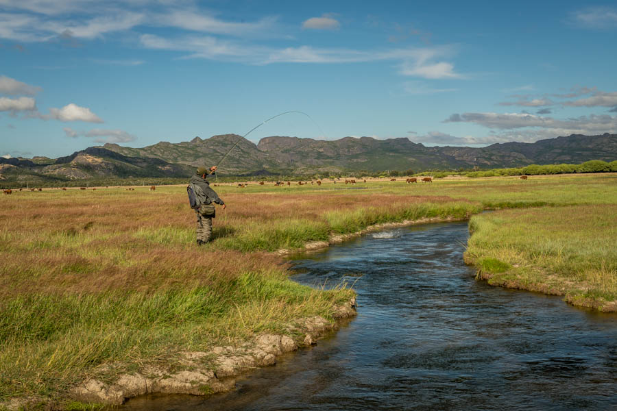 Fly fishing channels in Argentina