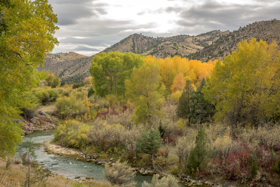 fall fishing Montana