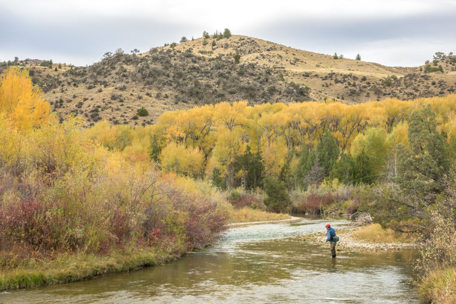 Ruby river fall trout fishing