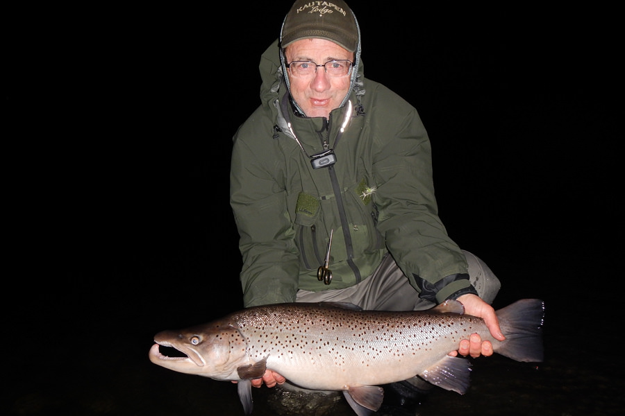 Nighttime brown trout Brown trout on streamer