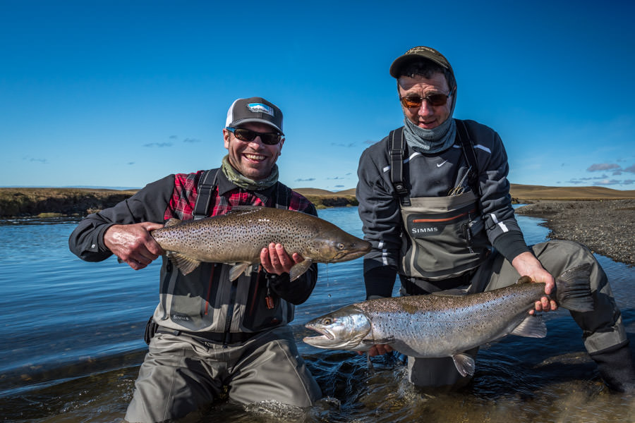 Double big brown trout Rio Grande Argentina