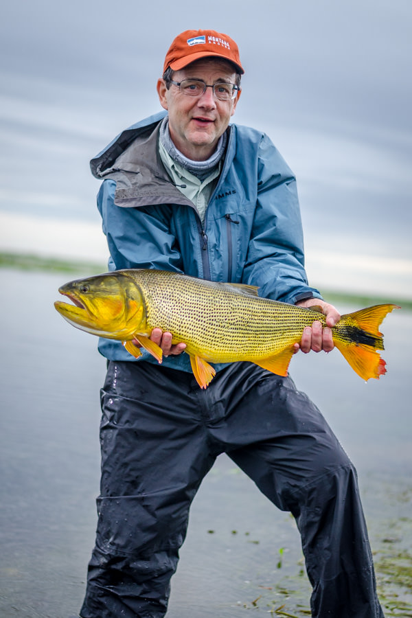 golden dorado