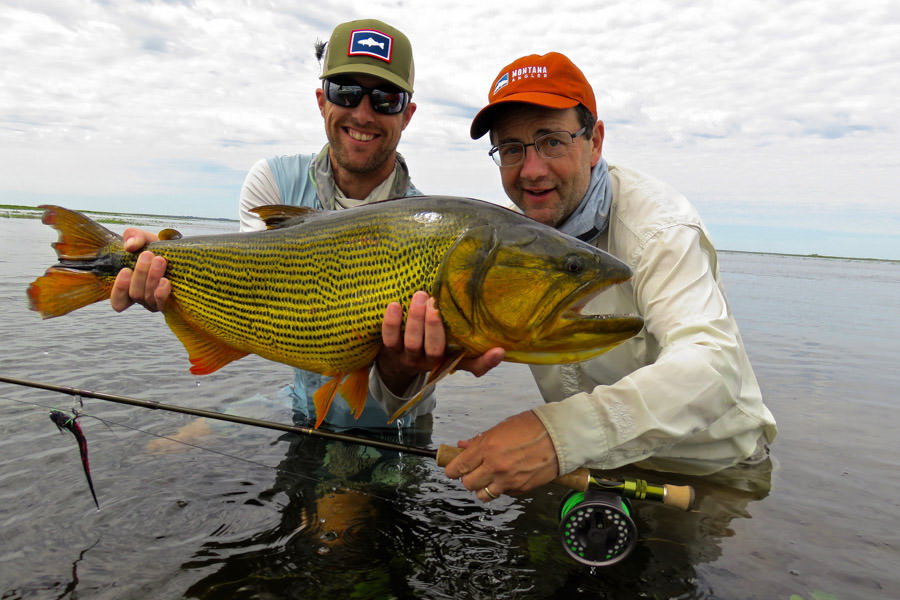 Golden Dorado Fly Fishing