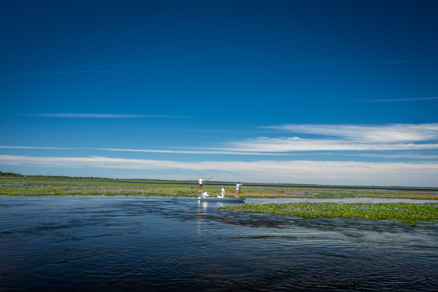 argentina float fishing trips