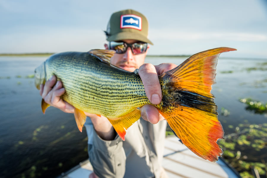 bucket list fishing trips