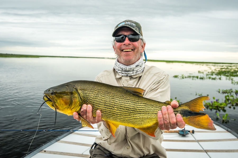 catch and release golden dorado