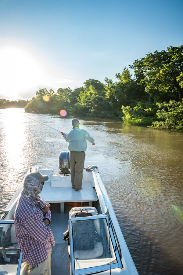 golden dorado fly fishing