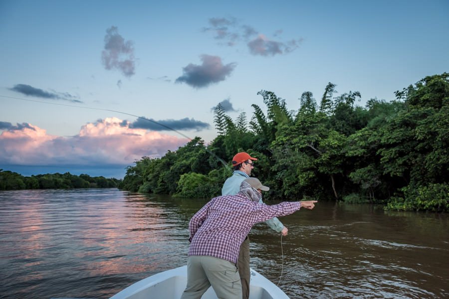 Guided Golden Dorado fly fishing trips