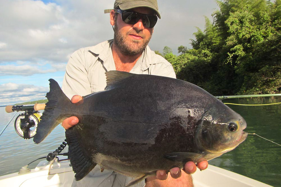 fly fishing for Pacu Argentina