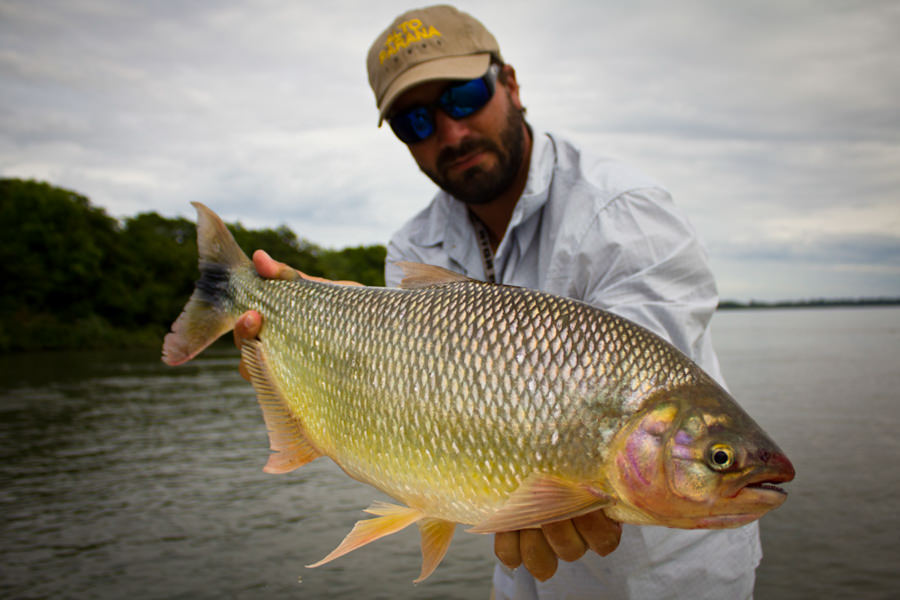 Argentina Fly Fishing