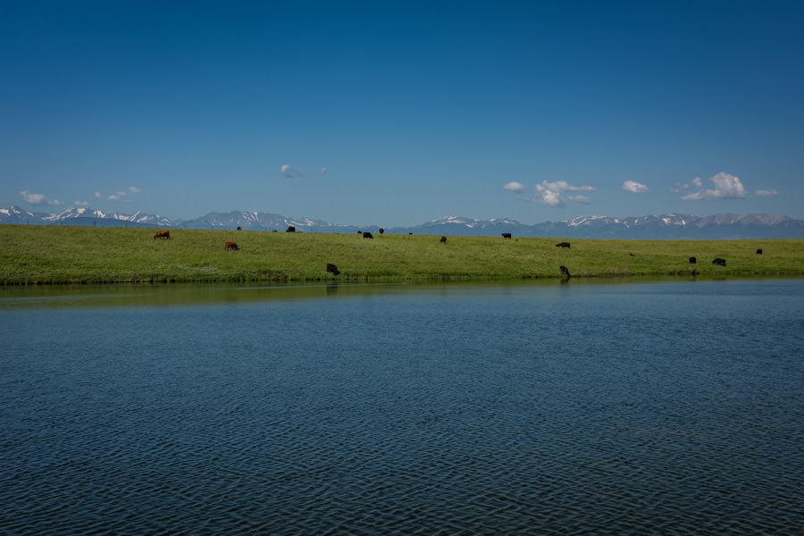 stillwater trout fishing
