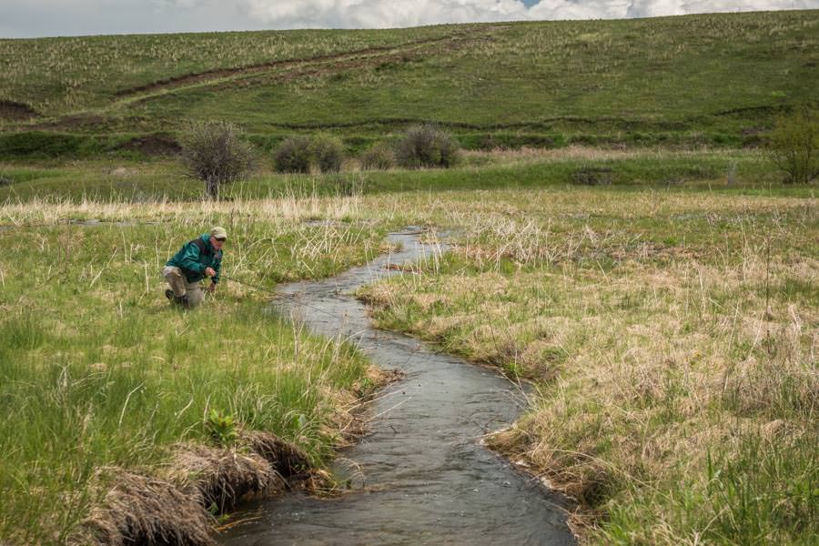 secret stream fishing