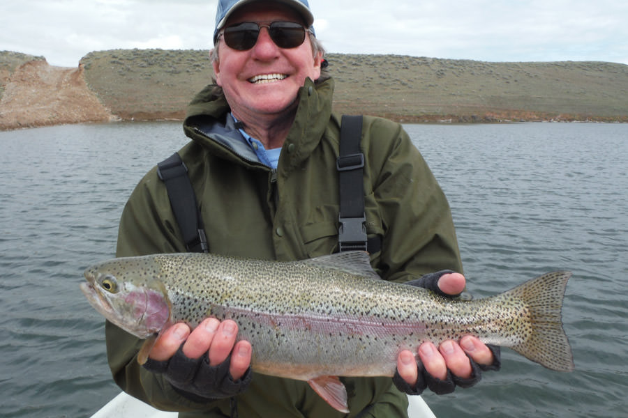 Trophy lake rainbow huge rainbow trout