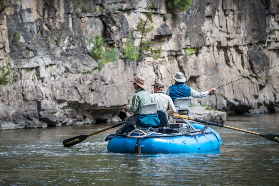 Smith River guided fly fishing trips