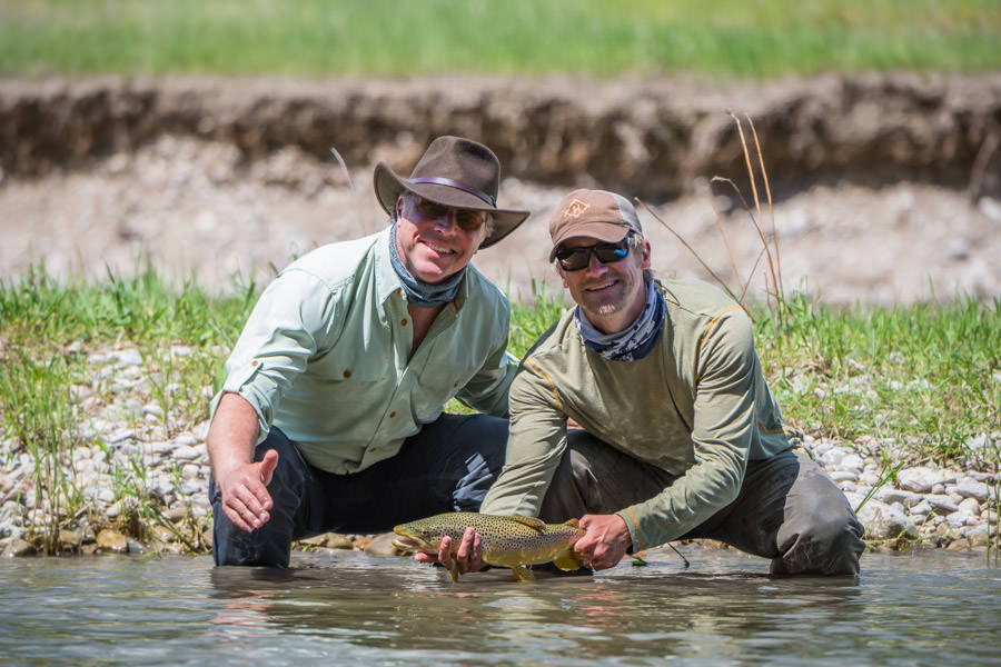 Smith River brown trout