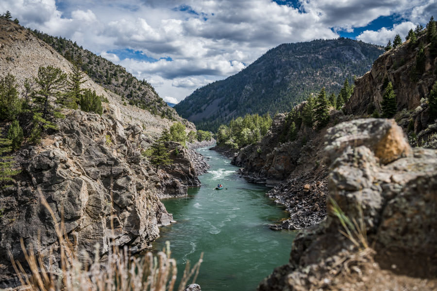 Yellowstone River guided fishing trips