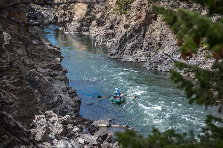 Yellowstone River guided fishing trips