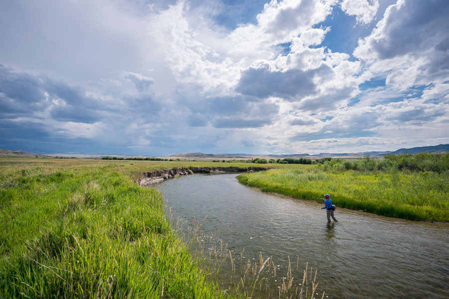 Montana guided fly fishing trips