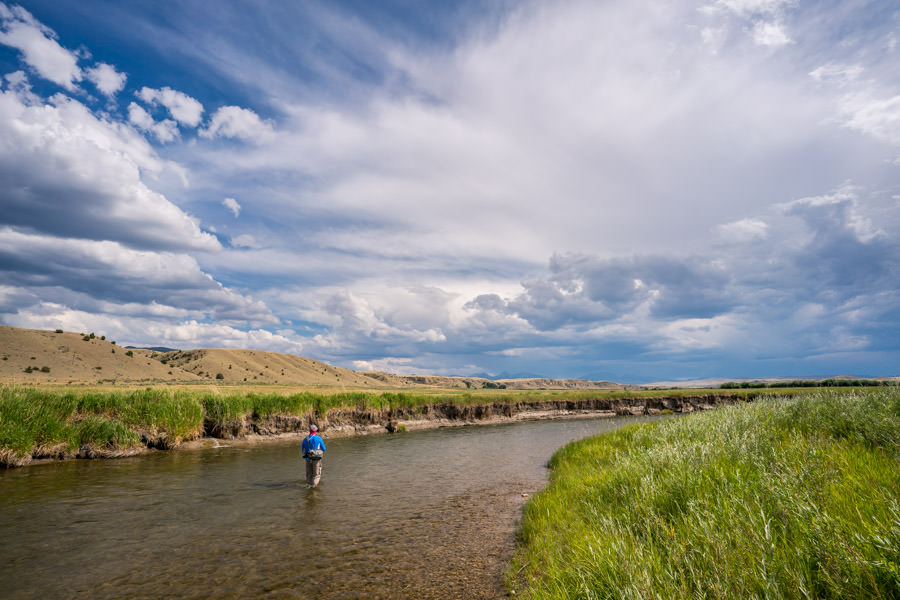 wade fishing Montana