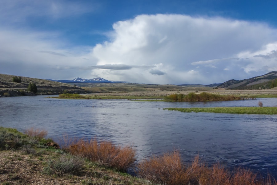 south west montana fly fishing