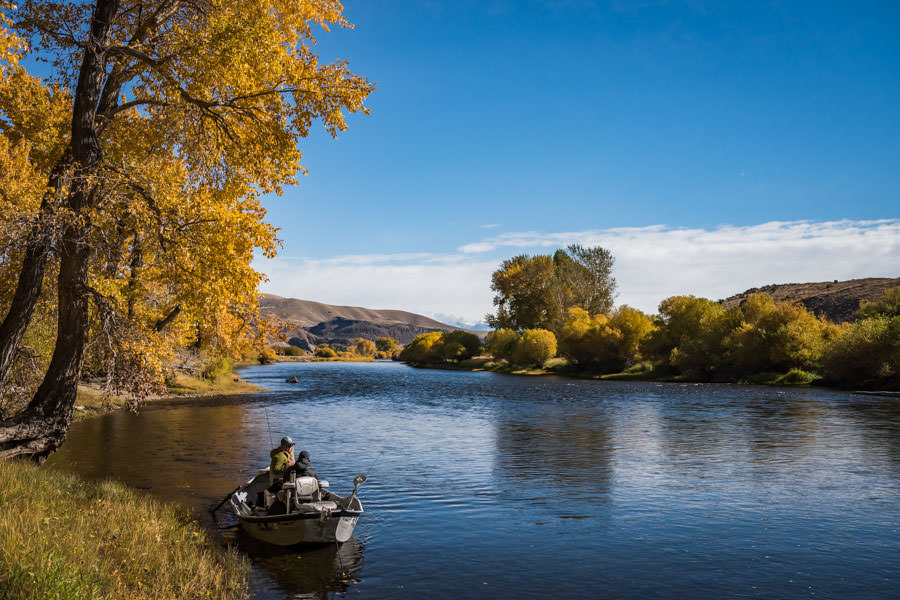 Montana fly fishing trips