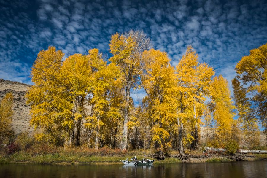 Big Hole River fishing guides