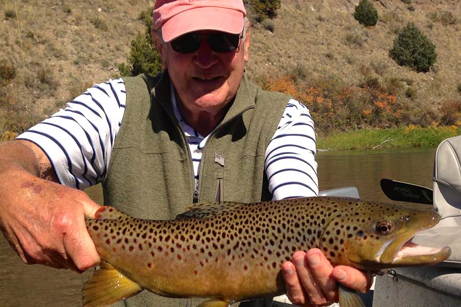guided fly fishing trips