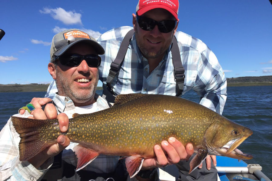 giant brook trout