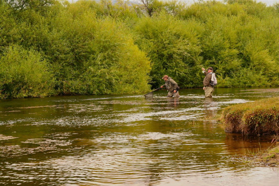fly fishing argentina