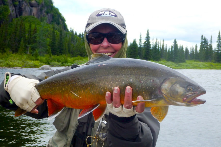 Huge brook trout