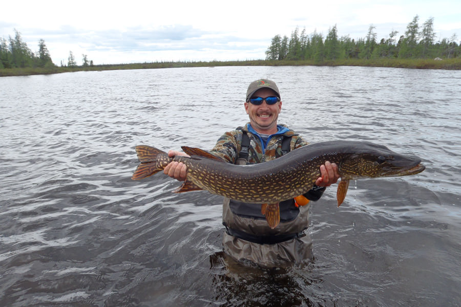 Three Rivers Lodge: Trophy Brook Trout Fishing in Labrador