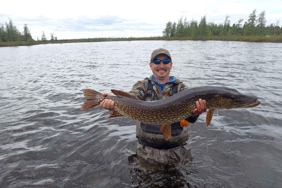Canada pike fishing