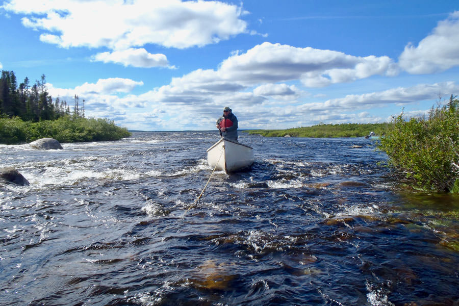 Wood River Fly Fishing Labrador