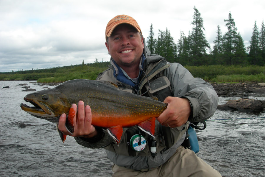 Big Canada Brook Trout