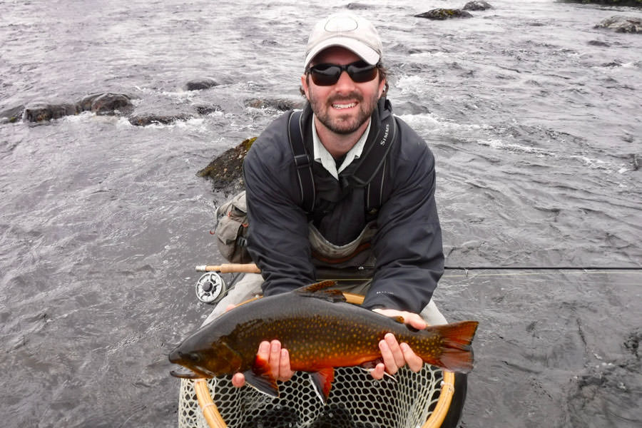 Monster brook trout