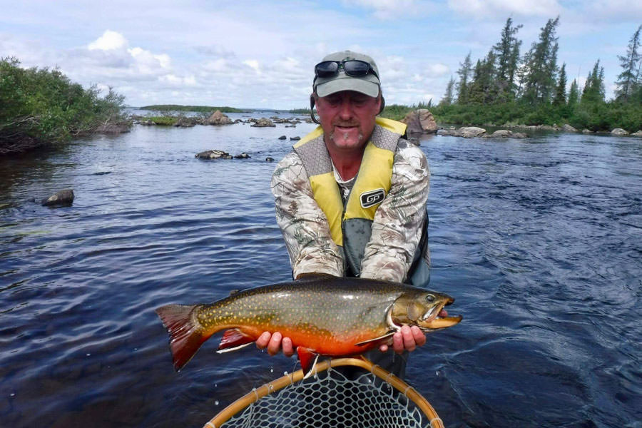 Huge Labrador Brook Trout