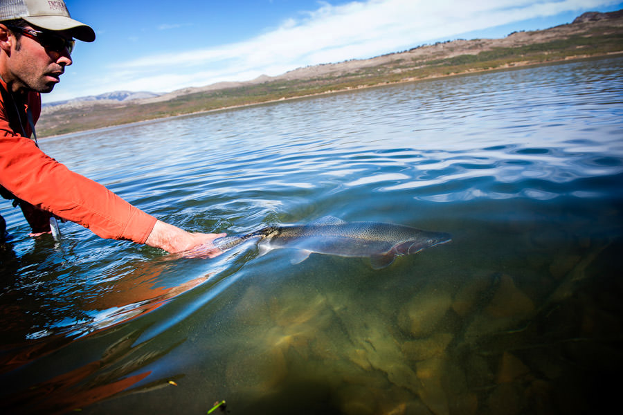 fly fishing argentina