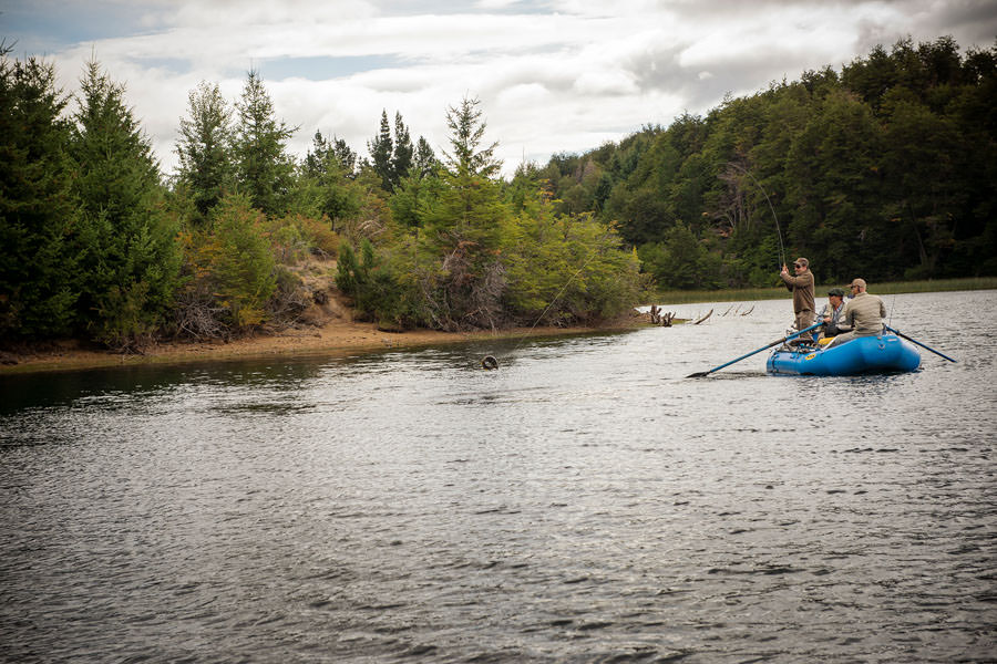 fly fishing argentina