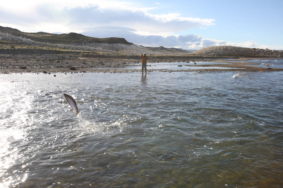 Argentina fishing guides