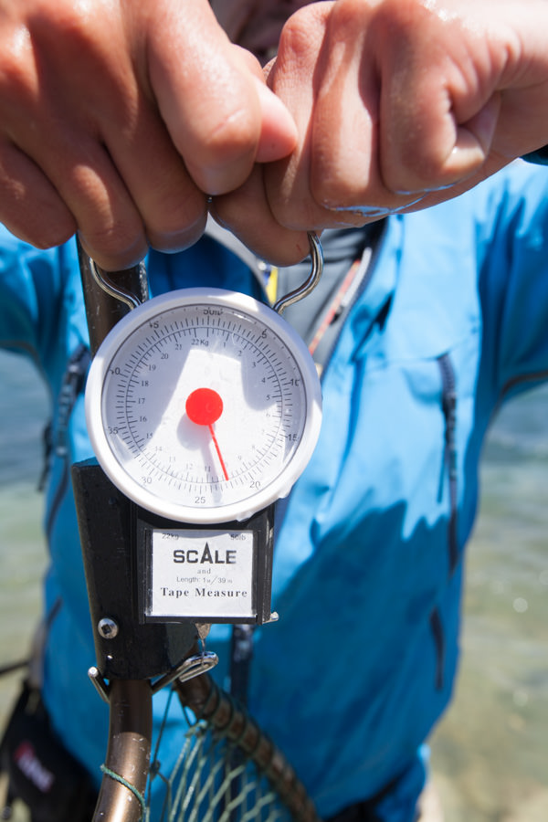 Argentina fishing guides