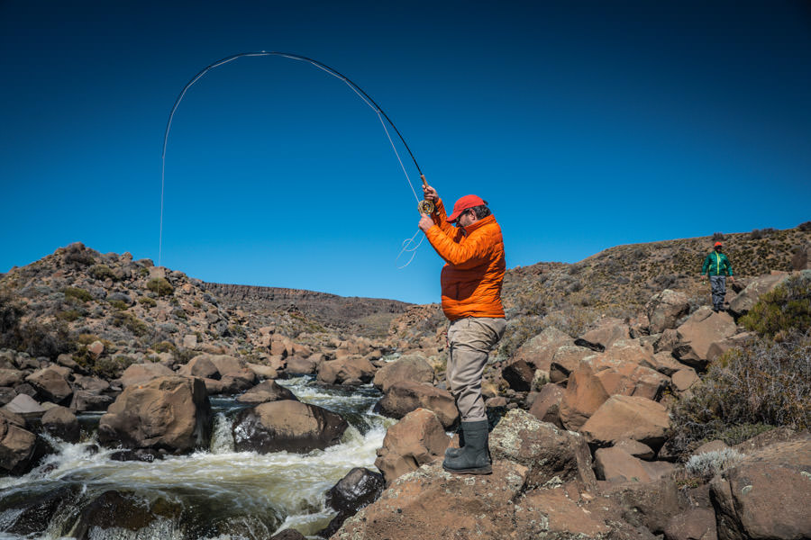 Biggest rainbow trout in the world