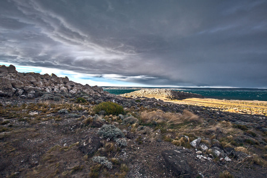 Argentina fly fishing trips