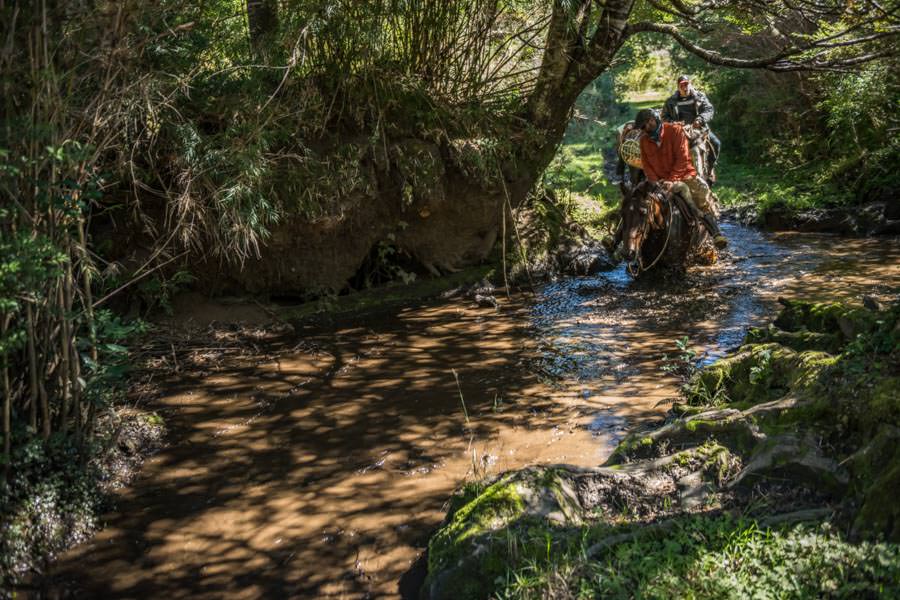 Class 5 horseback ride