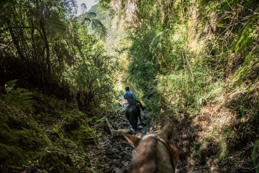 Class 5 horseback ride