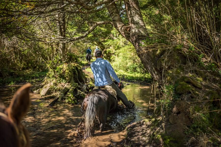 Class 5 horseback ride