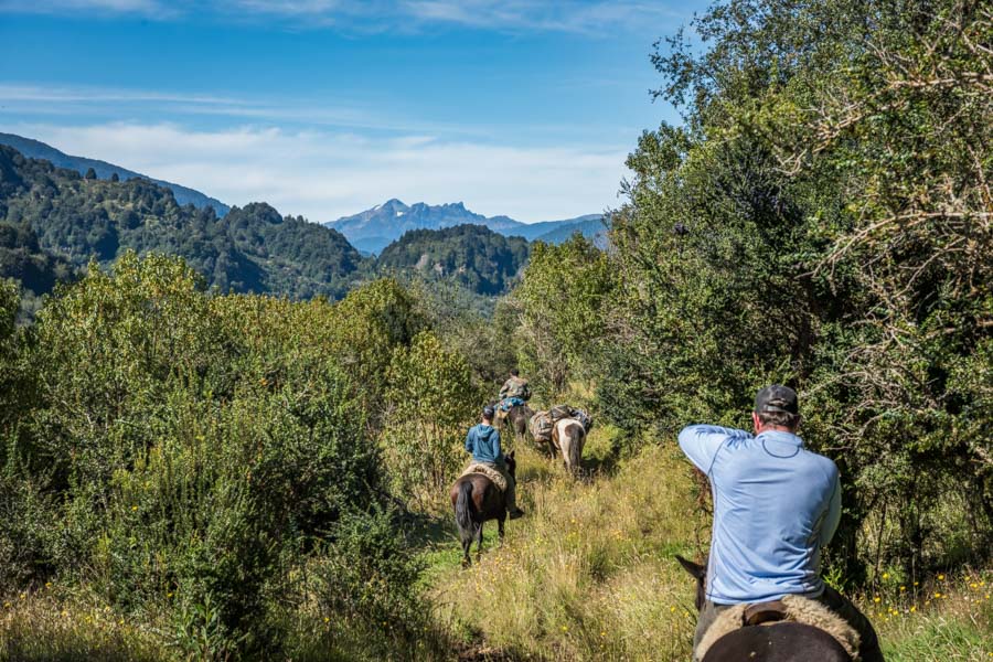 Backcountry pack trips