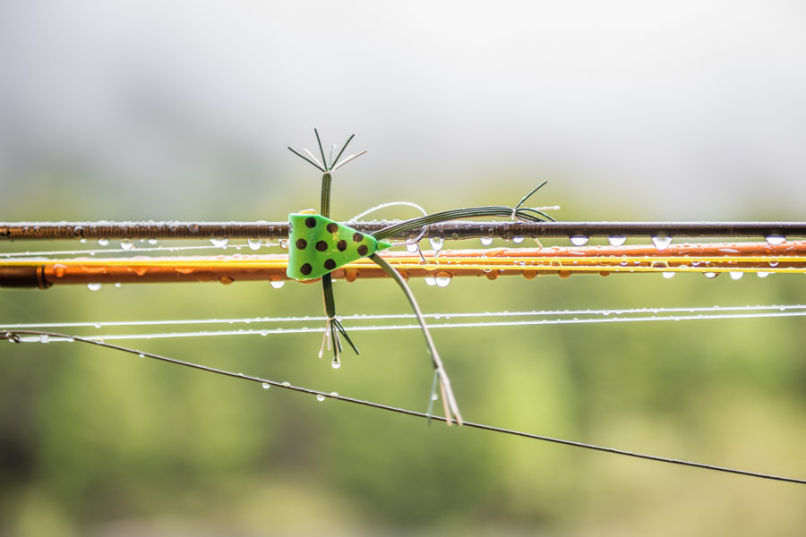 Fishing south america