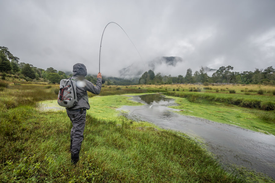 Fishing south america